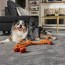 best carpet for pets the home depot