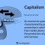 what is capitalism varieties history