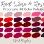 1 wine color chart designs ilrations