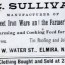 1891 william s directory city of elmira