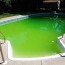 finding leaks in green pools leak