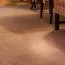 carpet cleaning agape carpet color