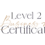 business astrology certification