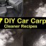 diy car carpet cleaner recipes