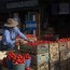in guatemala as food prices soar