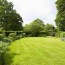 tips for growing a green lawn