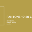 about pantone 10120 c color color