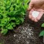 5 10 10 fertilizer your plants