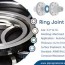ring joint gaskets and stainless steel