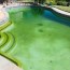 why is my pool green and how can i save