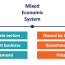 mixed economic system overview how