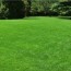 general lawn care