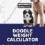 puppy growth chart for doodles and