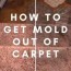 how to get mold out of carpet mold