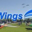 wings rc flight simulator