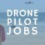 5 drone pilot job examples and real job