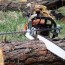 arborist chainsaw tree work forum