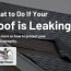 leaky roof what to do if your roof is