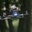 forest flying takes drone swarms to