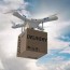 weight can a delivery drone carry