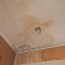 what does basement mold look like