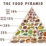 vintage food pyramid images browse 1