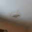 100 pictures of mold in the home