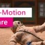 10 best stop motion software in 2023