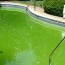 green pool rescue pool water specialists