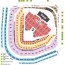 pink chicago concert tickets wrigley