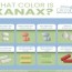 xanax definition structure and types