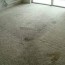 how do i get rid of carpet mold