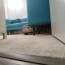 carpet installation and replacement