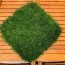 how to grow and care for irish moss