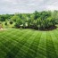 landscaping lawncare outdoor living