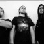 best technical metal bands page