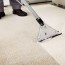carpet mold and mildew guide eagle