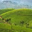 the best hotels in munnar india