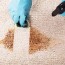 how to clean vomit from carpet 7 tips