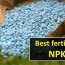 best npk ratio for growing plants