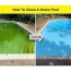 how to clean a green pool