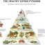 healthy eating pyramid the nutrition