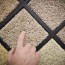 characteristics of triexta ptt carpet fiber