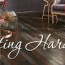 selecting hardwood from abbey carpet