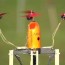 this kamikaze drone sacrifices its own