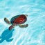baby sea turtle stock photos royalty