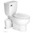 flush elongated toilet