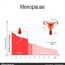 menopause chart estrogen level aging
