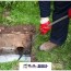 what causes a sewer backup and how to