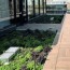 green roof supplies